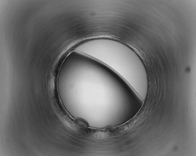 X0000099410350200805090733