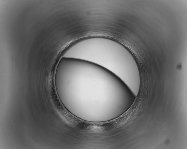 X0000099410352200805090733