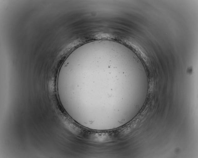 X0000099410353200805090733