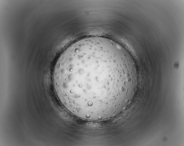 X0000099410354200805090733