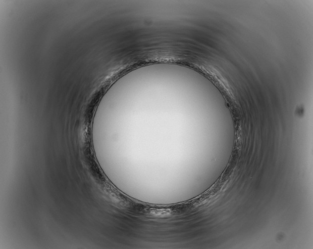X0000099410355200805090733