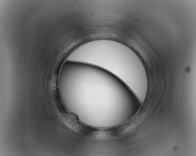 X0000099410356200805090733