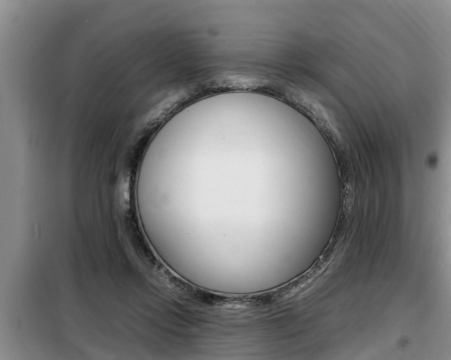 X0000099410358200805090733