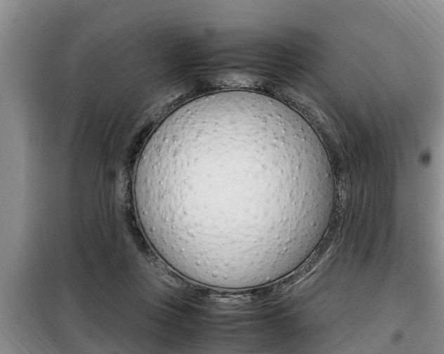 X0000099410359200805090733
