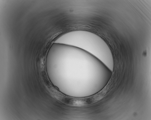 X0000099410360200805090733