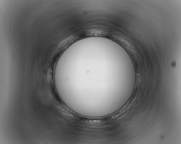 X0000099410361200805090733