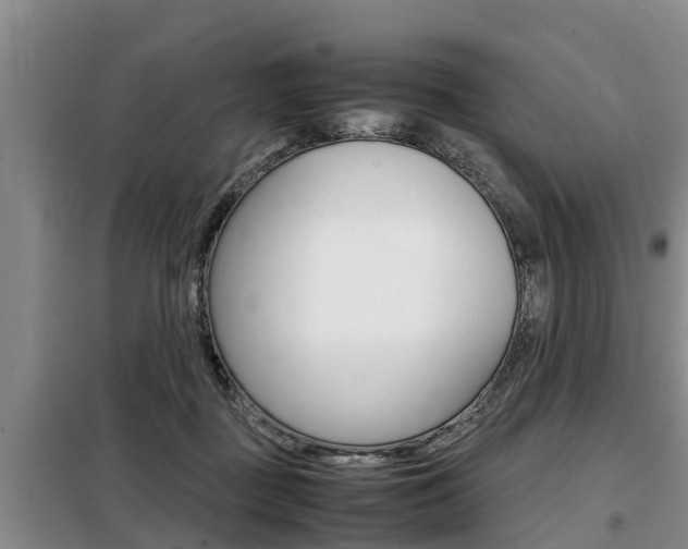X0000099410363200805090733