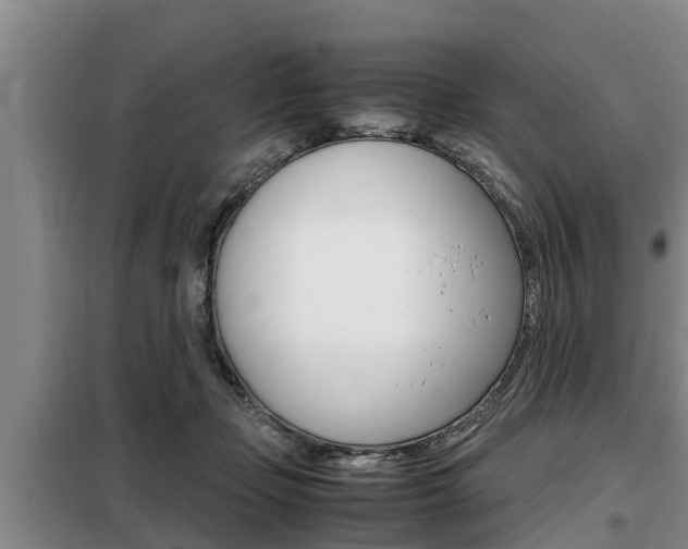 X0000099410365200805090733