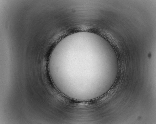 X0000099410366200805090733