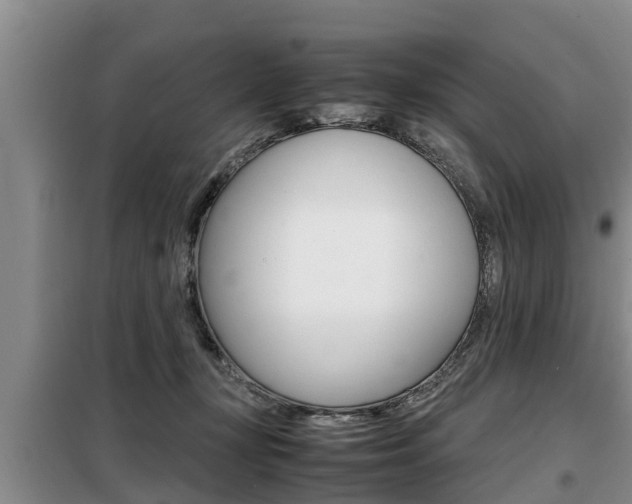 X0000099410367200805090733