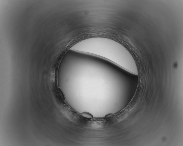 X0000099410368200805090733