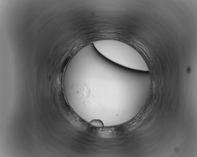 X0000099410373200805090733
