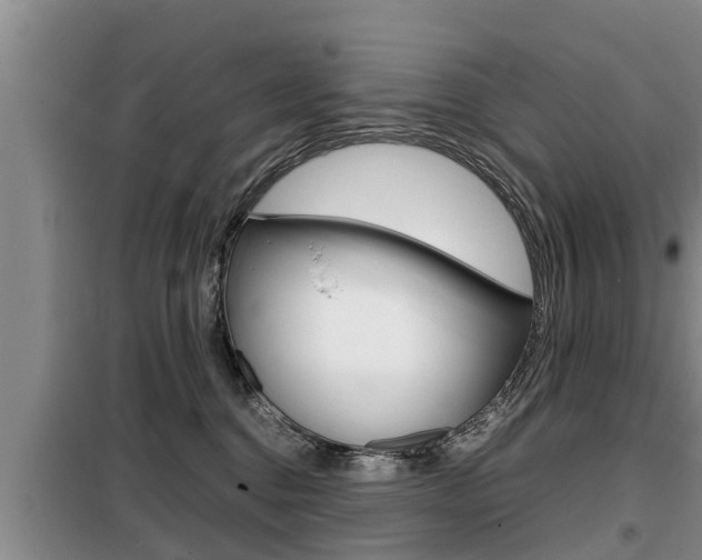 X0000099410376200805090733