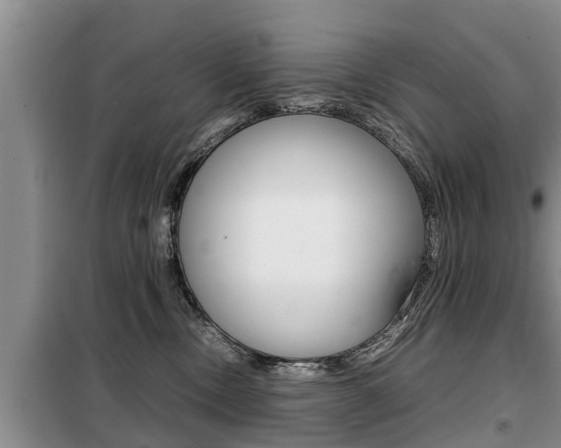 X0000099410378200805090733