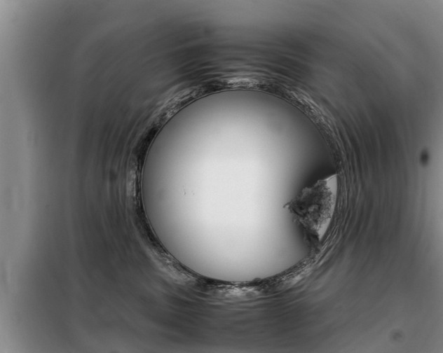 X0000099410379200805090733