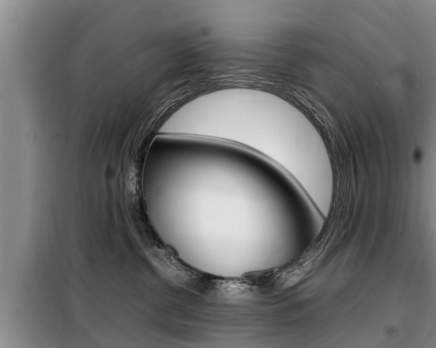X0000099410380200805090733