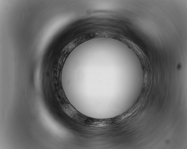 X0000099410381200805090733