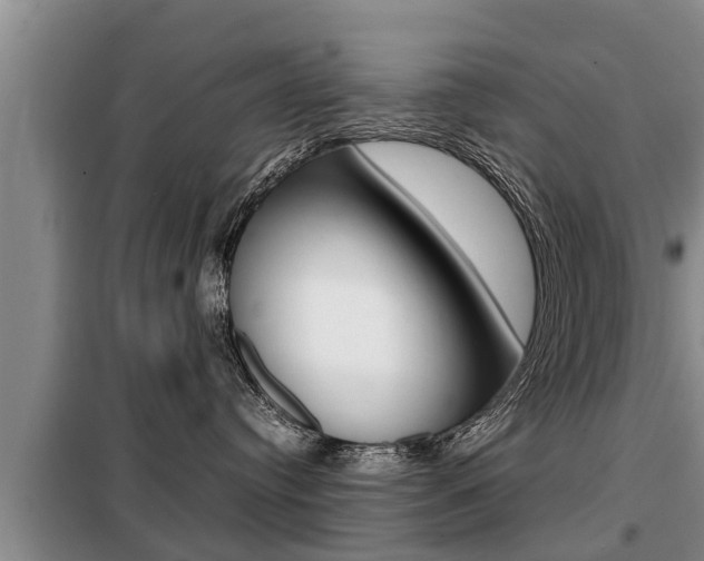 X0000099410384200805090733