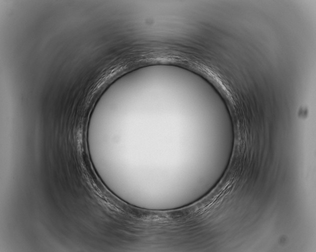 X0000099410386200805090732
