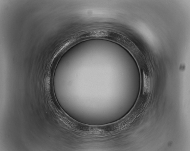 X0000099410387200805090732