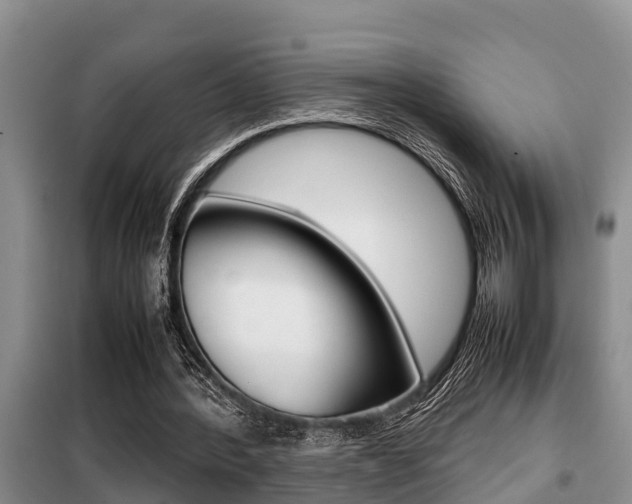 X0000099410388200805090732