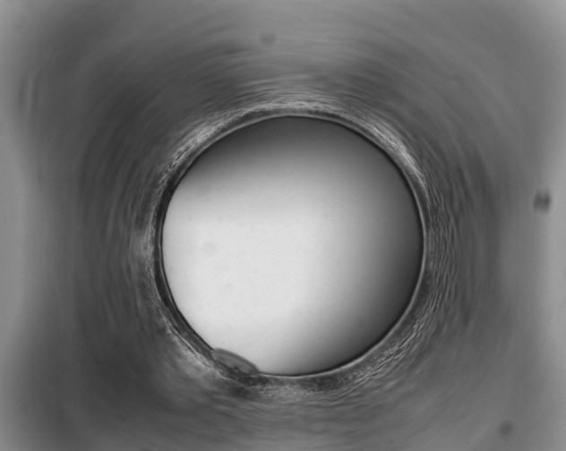 X0000099410389200805090732