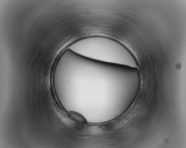 X0000099410390200805090732