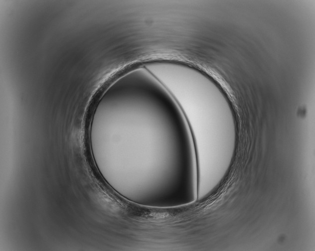 X0000099410391200805090732