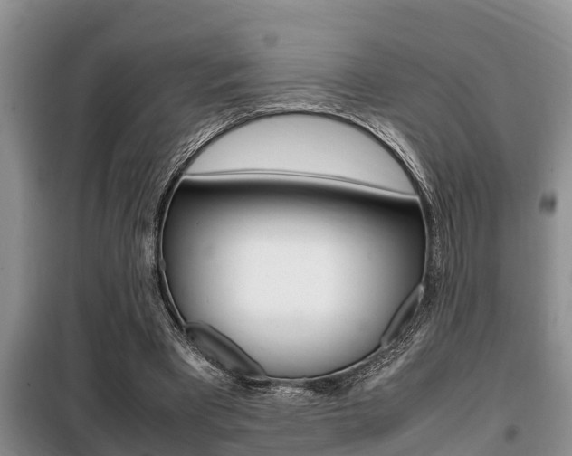 X0000099410393200805090732