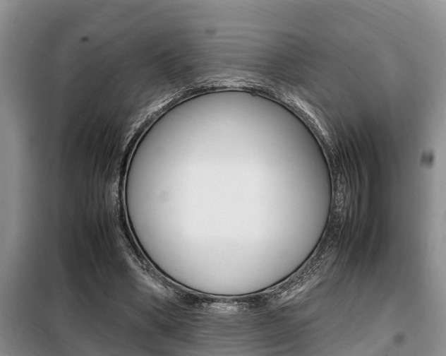 X0000099410394200805090732