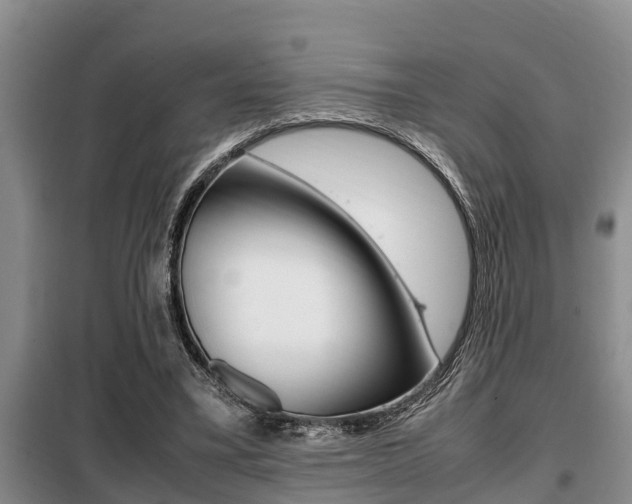 X0000099410395200805090732