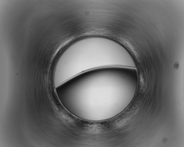X0000099410396200805090732