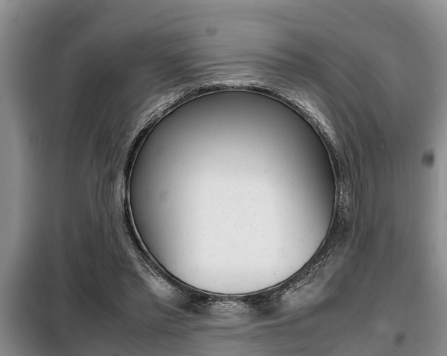 X0000099410397200805090732