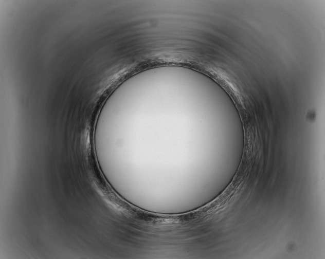 X0000099410398200805090732