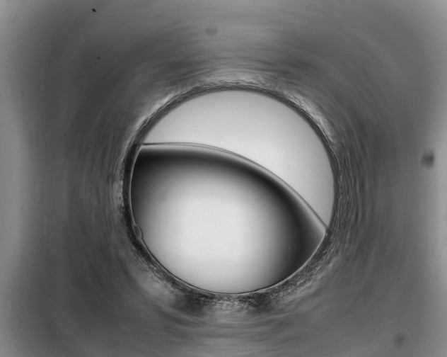 X0000099410399200805090732