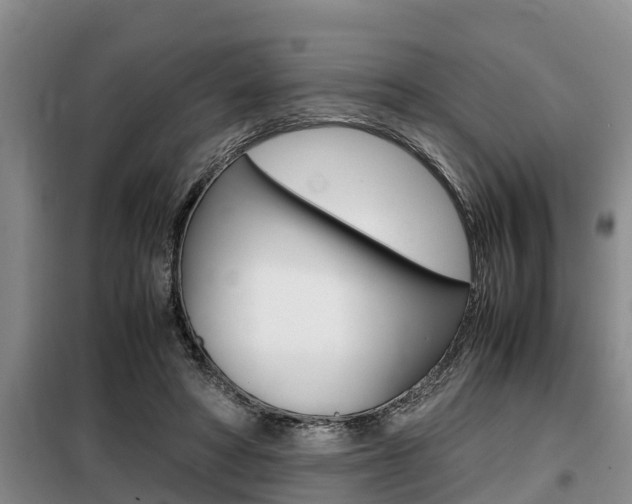 X0000099410402200805090732