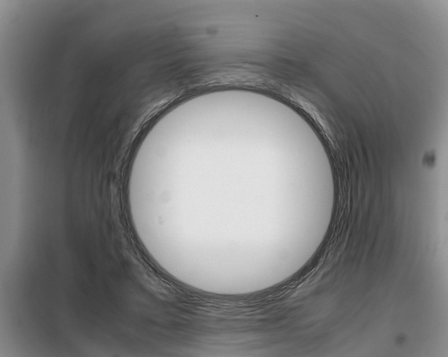 X0000099410403200805090732
