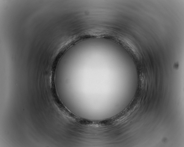 X0000099410404200805090732