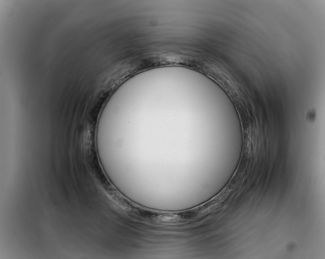 X0000099410410200805090732