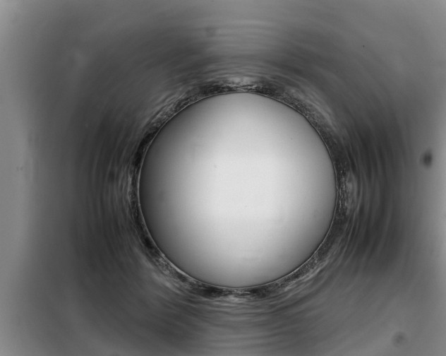 X0000099410412200805090732