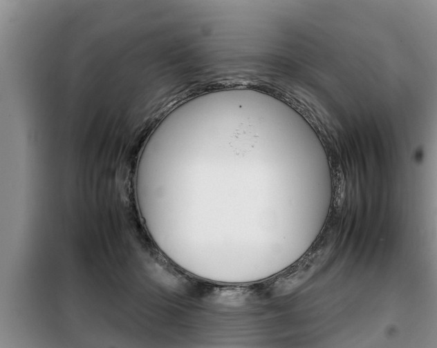 X0000099410414200805090732