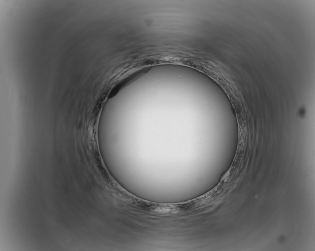 X0000099410415200805090732