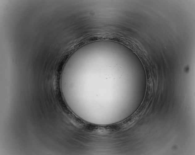 X0000099410416200805090732