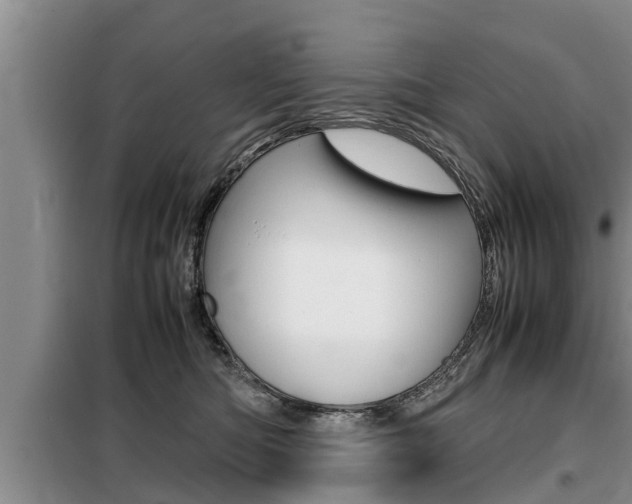 X0000099410422200805090732