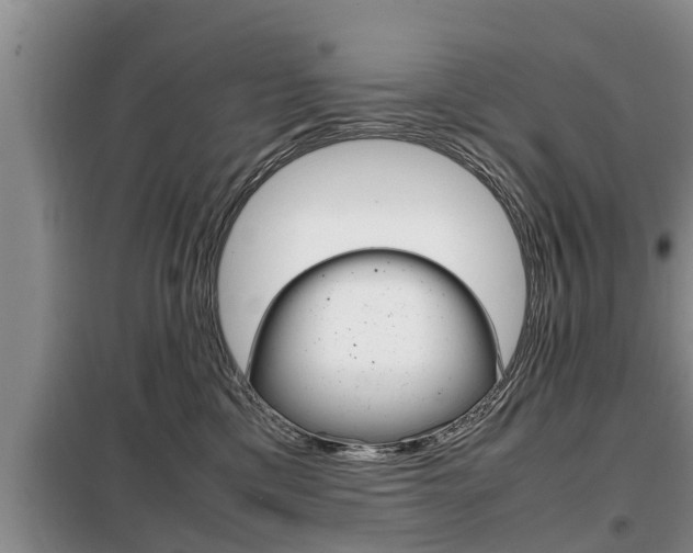 X0000099410425200805090732
