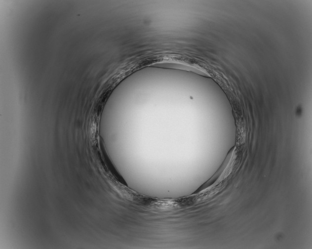 X0000099410427200805090732