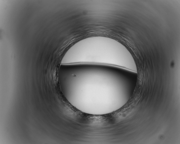 X0000099410428200805090732