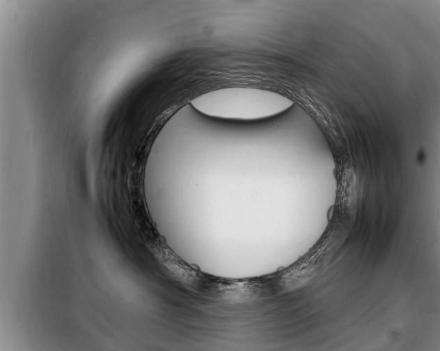 X0000099410430200805090732