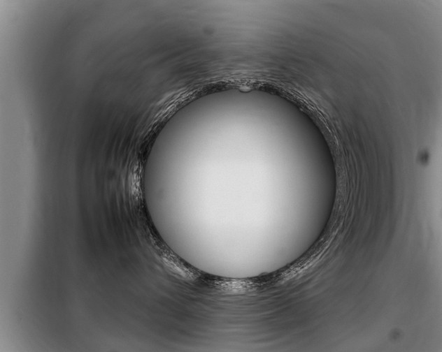 X0000099410432200805090732