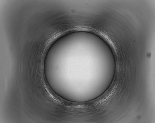 X0000099410433200805090731